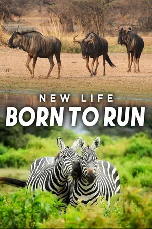 New Life: Born to Run