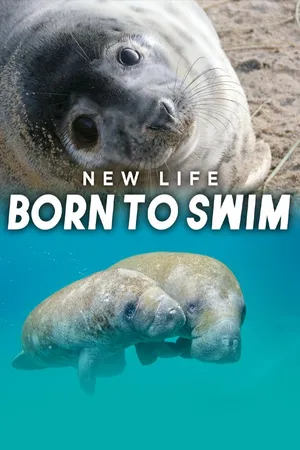 New Life: Born to Swim
