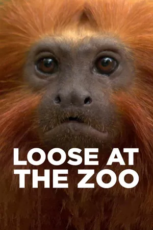 Loose at the Zoo