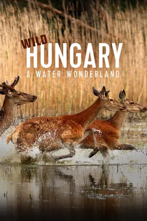 Wild Hungary - A Water Wonderland