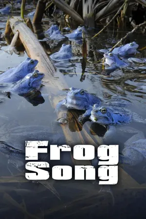 Frog Song