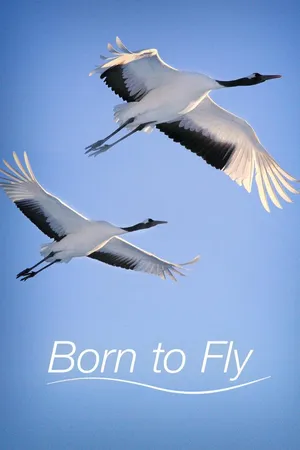 Born to Fly