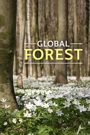 Global Forest
