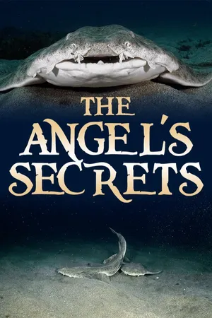 The Angel's Secret