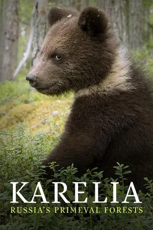 Karelia - Russia's Primeval Forests