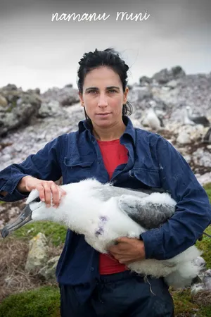 namanu rruni - Albatross Island