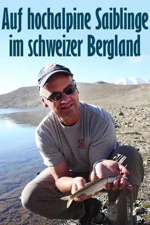 Auf hochalpine Saiblinge im schweizer Bergland