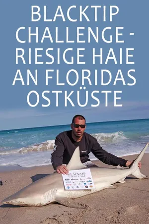 Blacktip Challenge - Riesige Haie an Floridas Ostküste