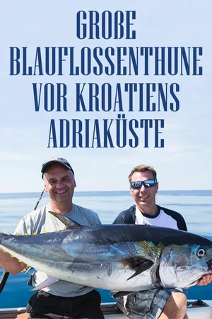 Große Blauflossenthune vor Kroatiens Adriaküste