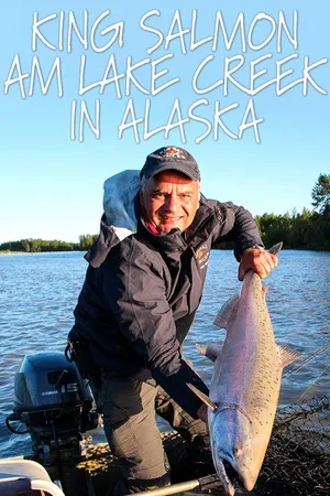King Salmon am Lake Creek in Alaska