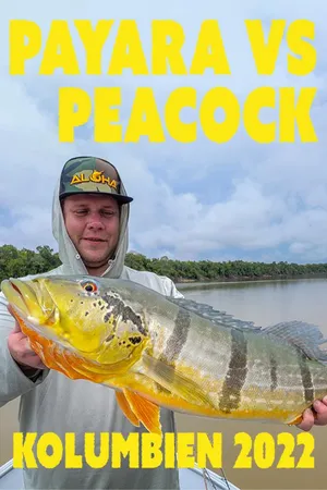 Payara vs Peacock - Kolumbien 2022