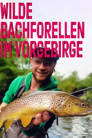 Wilde Bachforellen im Vorgebirge