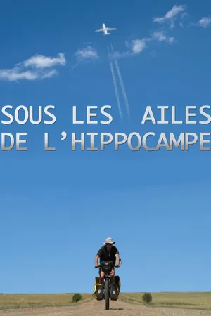 Sous les Ailes de l'Hippocampe