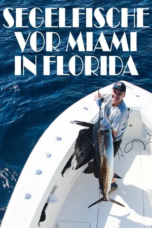 Segelfische vor Miami in Florida