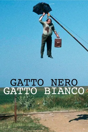 Gatto nero, gatto bianco