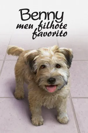 Benny. Meu Filhote Favorito