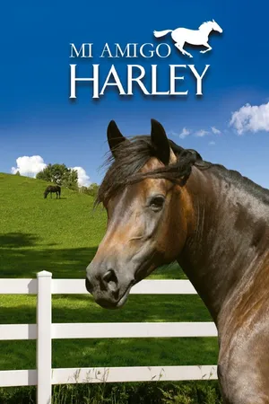 Mi Amigo Harley