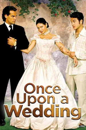 Once Upon a Wedding