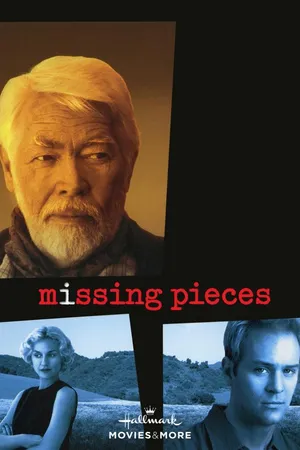 Missing Pieces