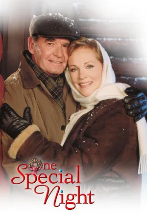One Special Night