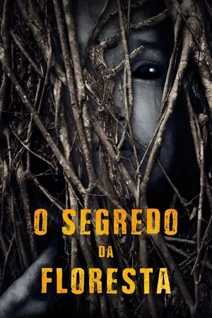 O Segredo da Floresta