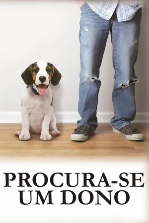 Procura-se um Dono