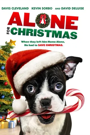 Alone for Christmas (2013)
