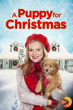 A Puppy for Christmas