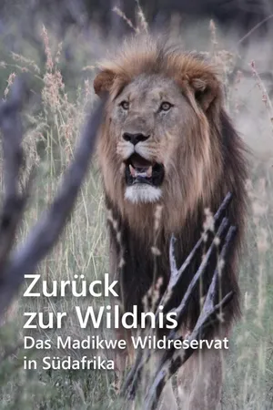 Zurück zur Wildnis – Das Madikwe Wildreservat in Südafrika