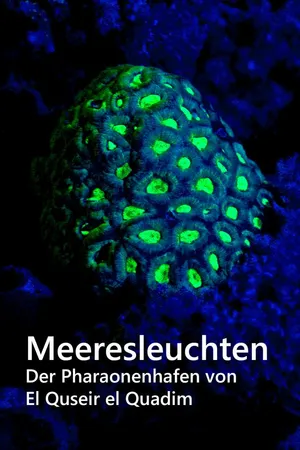 Meeresleuchten - Der Pharaonenhafen von El Quseir el Quadim