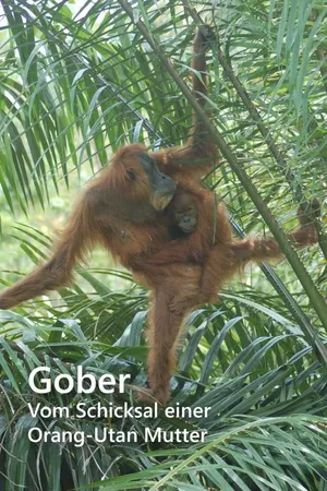 Gober – Vom Schicksal einer Orang-Utan Mutter