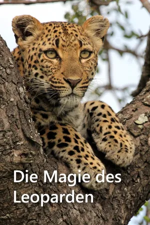 Die Magie des Leoparden