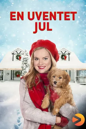 En uventet jul