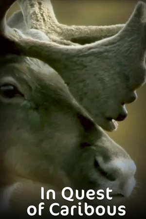In Quest of Caribous