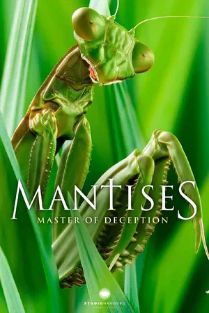 Mantises - Masters of Deception