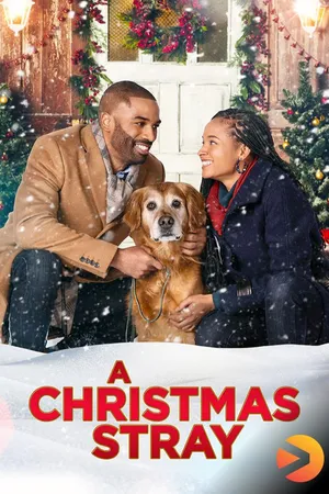 A Christmas Stray
