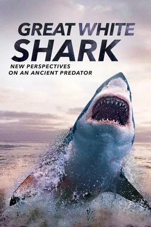 Great White Shark: New Perspectives on an Ancient Predator