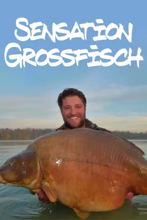 Sensation Großfisch