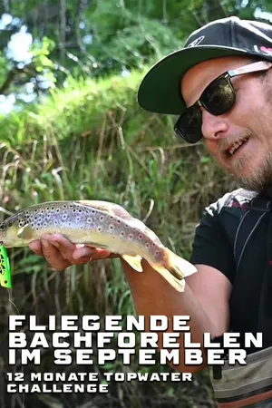 Fliegende Bachforellen im September – 12 Monate Topwater Challenge