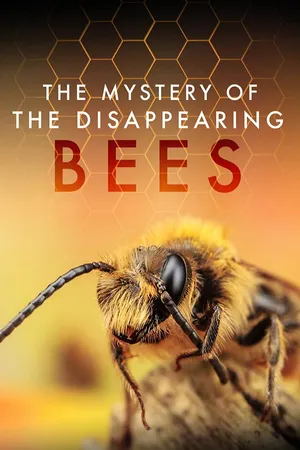 The Mystery of the Disappearing Bees