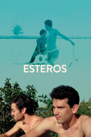 Estuários