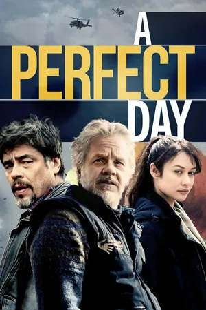 A Perfect Day