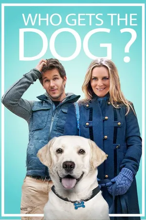 Who Gets The Dog