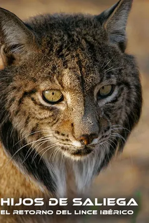 Hijos de Saliega, el Retorno del Lince Ibérico