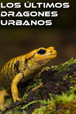 Los Últimos Dragones Urbanos