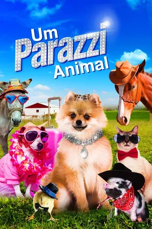 Um Paparazzi Animal
