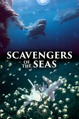 Sharks, Scavengers of the Seas