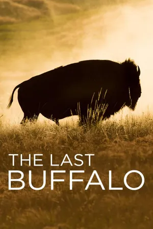 The Last Buffalo