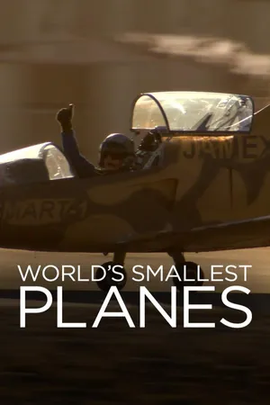 World's Smallest Planes