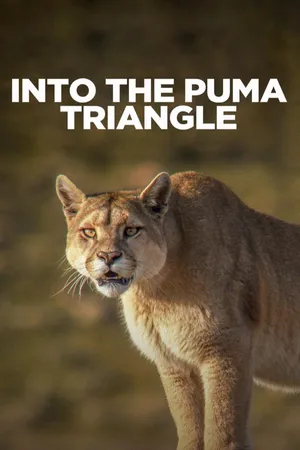 Into the Puma Triangle